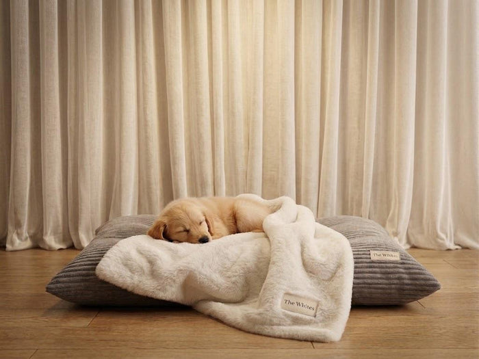 ЛЕГЛО ЗА ДОМАШЕН ЛЮБИМЕЦ HIGI