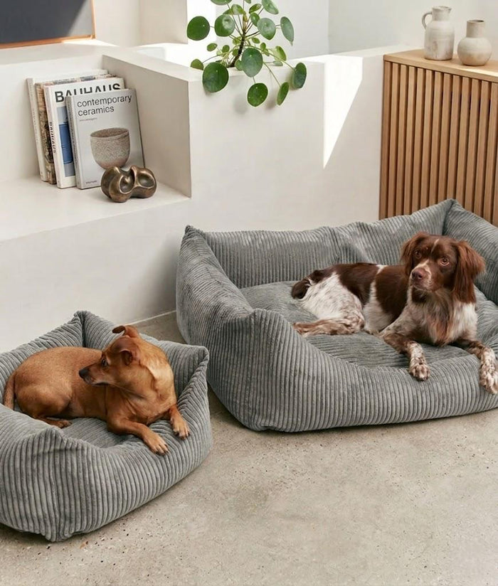 ЛЕГЛО ЗА ДОМАШЕН ЛЮБИМЕЦ HUGGE