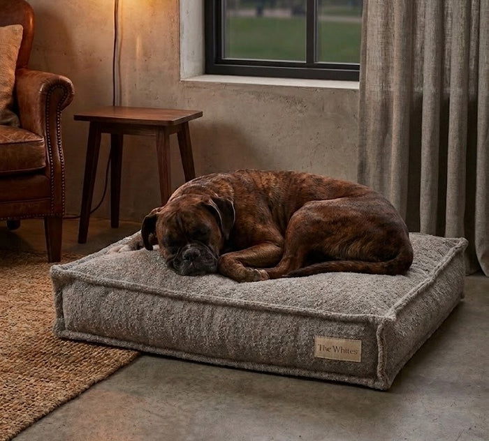 ЛЕГЛО ЗА ДОМАШЕН ЛЮБИМЕЦ HAGA