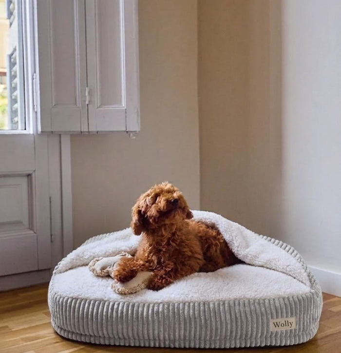 ЛЕГЛО ЗА ДОМАШЕН ЛЮБИМЕЦ HUGY